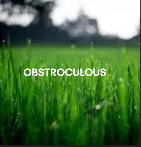 obstroculous